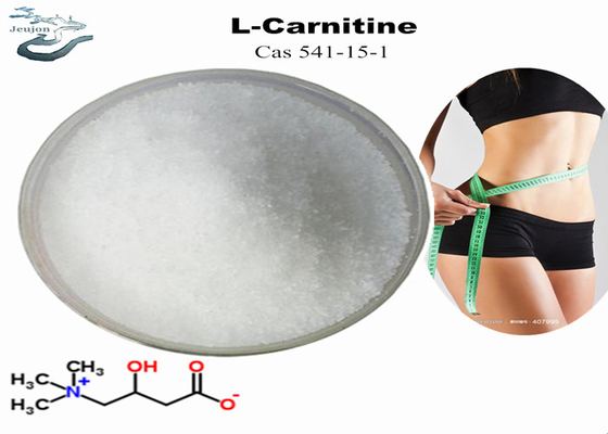 Cosmetica grondstoffen R L Carnitine poeder voor gewichtsverlies CAS 541-15-1 Buikvetverbrander poeder