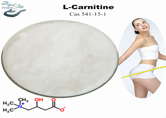 Van de Vitaminebt van het gewichtsverlies van het de Brandermedicijn Vet Carnitine van L Poeder CAS 541-15-1