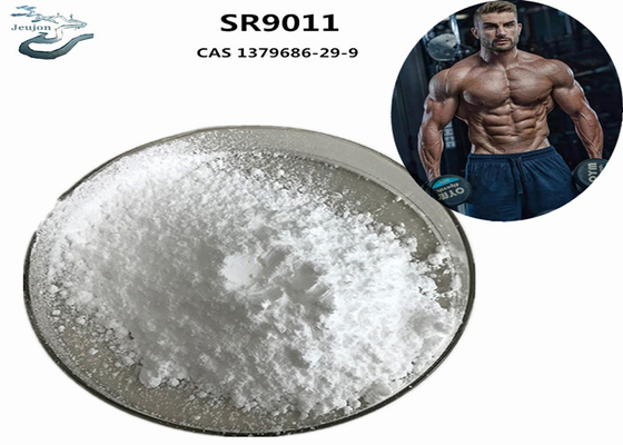 Gympoeder Sarm Supplement Bodybuilding SR9011 CAS 1379686-29-9 Voor het opbouwen van spieren
