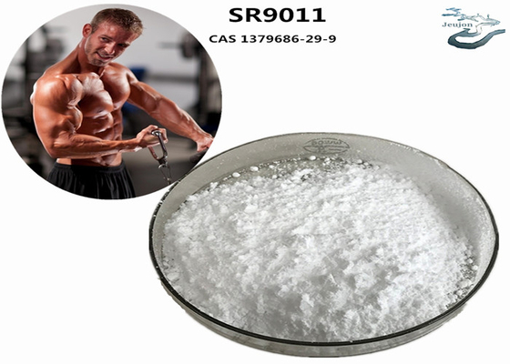 SR9011 Sarms Vetverbranding Gympoeder CAS 1379686-29-9 Bodybuilding supplement