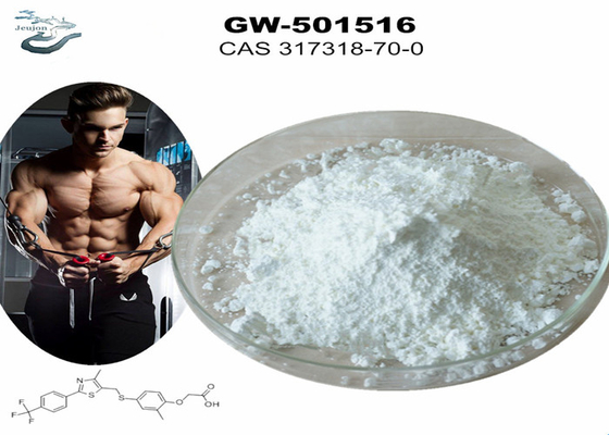 GW 501516 GSK-516 Sarms Gympoeder Bodybuilding CAS 317318-70-0